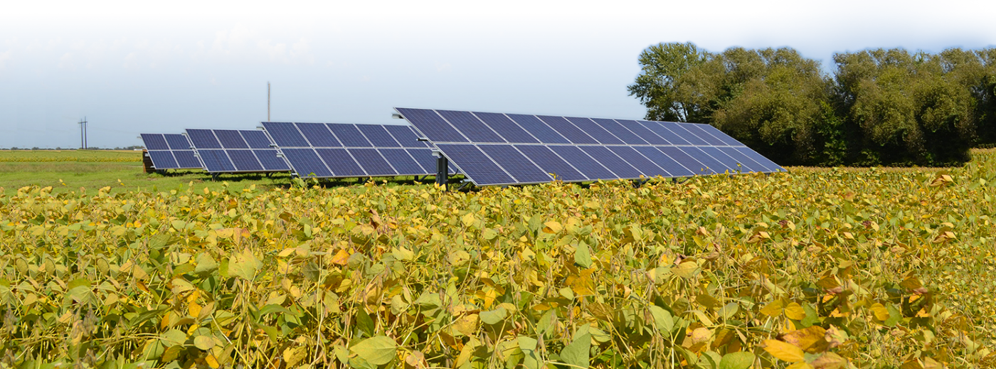 Minnesota Community Solar Garden CSG by Novel Energy Solutions MnSEIA