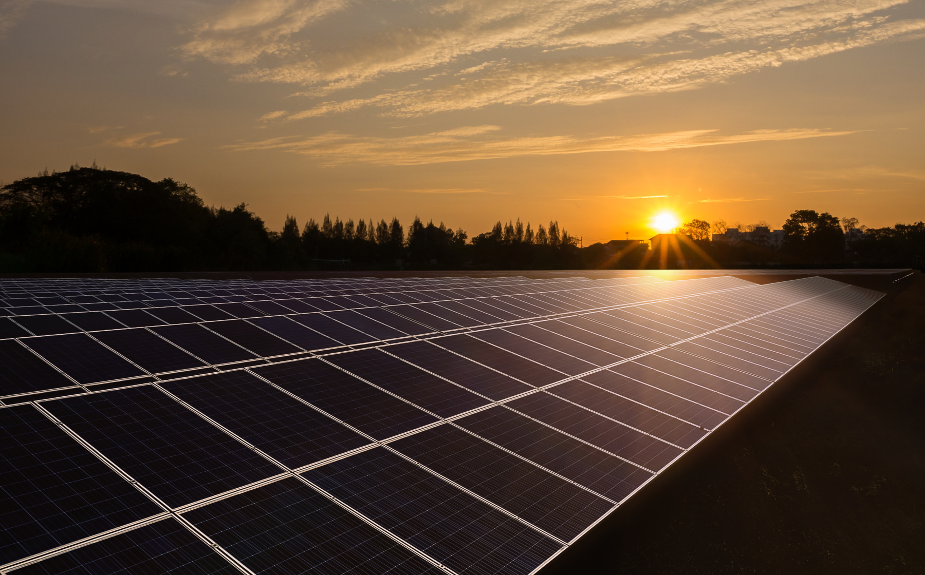 Solar field at sunset
