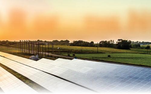Solar panel farm in Minnesota MnSEIA