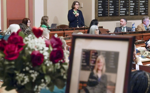 Rep. Patty Acomb introduces HF3556 during a March 12 Floor Session that would rename the state’s community solar garden program after the late Speaker Emerita Melissa Hortman. The bill passed 133-0 and now heads to the Senate. (Photo by Michele Jokinen)