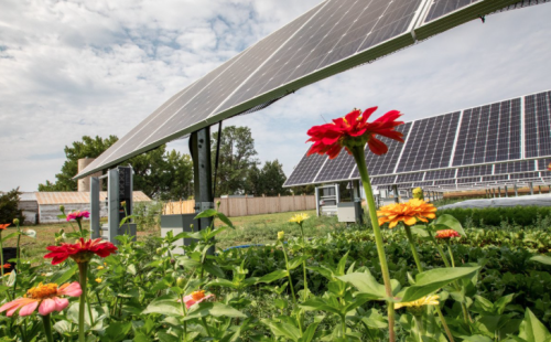 Minnesota Governor Walz Signs Bill With Community Solar Provisions, MnSEIA and CCSA