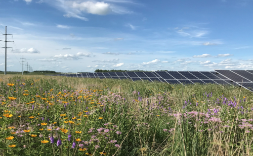 Interconnection Standards in Minnesota for solar projects
